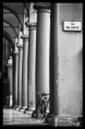 /album/volna-tvorba/z7n6735bw-jpg/